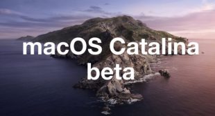 How To Downgrade From MacOS Catalina Beta?