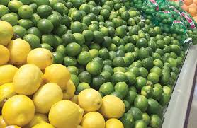 Fresh Organic Lime Suppliers in Mexico Location