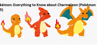 Pokémon: Everything to Know about Charmeleon (Pokémon 005)