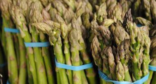 Fresh Organic Asparagus Suppliers in Mexico city