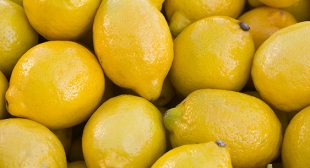 Organic fresh lemon Suppliers in Mexico