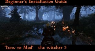Best PC Mods for Beginners in Witcher 3