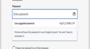 How to Fix If Chrome’s Password Alert Shows up?