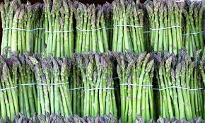 Popular of organic asparagus suppliers in Mexico
