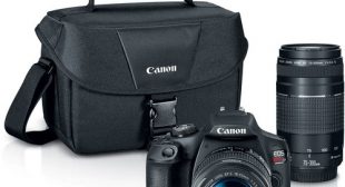 5 Best Entry Level DSLR Cameras to Buy in 2020