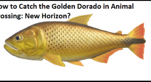 How to Catch the Golden Dorado in Animal Crossing: New Horizon?
