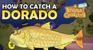 How to Catch Golden Dorado in Animal Crossing: New Horizons – Setup Era