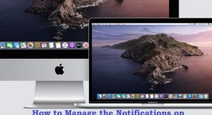 How to Manage the Notifications on macOS