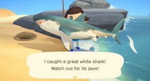 How to Catch Great White Sharks in Animal Crossing