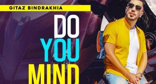 Do You Mind Lyrics