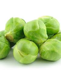 High quality cabbage suppliers at affordable prices