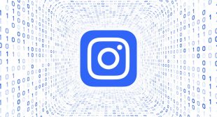 Top Instagram Analytics Tools to Grow Your Audience
