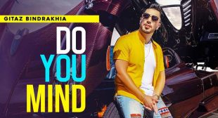 Do You Mind Lyrics