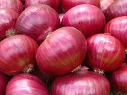 Best quality onion suppliers at wholesale prices available