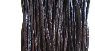 High quality Madagascar vanilla beans at wholesale prices