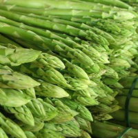 Fresh asparagus from Mexico based suppliers at wholeslae prices