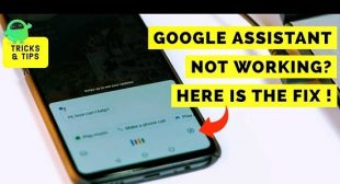 Easy Methods to Fix Troublesome Google Assistant on an Android Smartphone