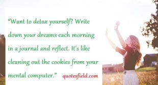 Quotes Field