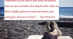 Quotes Field