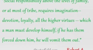 Quotes Field