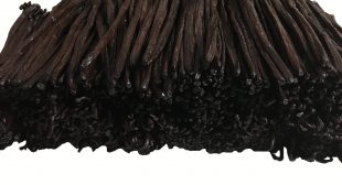 Place order online variety of vanilla beans