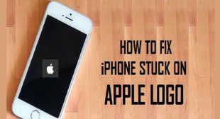 iPhone Stuck on the Apple Logo Screen? Here’s How to Fix it – Setup Directory