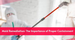 Mold Remediation: The Importance of Proper Containment