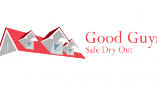 Good Guys Safe Dry Out