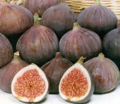 Eat Fig Both in Ripe and Unripe Form by Purchasing from Reputed Suppliers