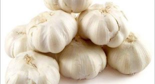 Purchase online fresh Garlic suppliers from reputed store