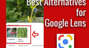 Best Google Lens Alternatives in 2020