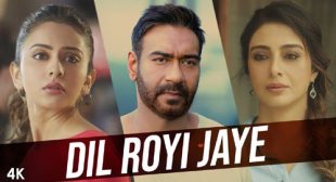 Dil Royi Jaye Lyrics – De De Pyaar De