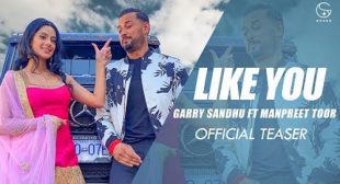 Like U (Tere Jaisi) Lyrics – Garry Sandhu