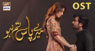 Rahat Fateh Ali Khan – ‘Meray Paas Tum Ho’ OST Lyrics | Humayun Saeed | Ayeza Khan