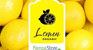 Premium Quality Organic Lime Distributors in Mexico