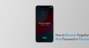 How to Recover Forgotten iPad Password or Passcode – Norton Setup