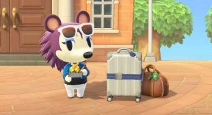 How to Complete Label’s Fashion Challenge in Animal Crossing: New Horizons – Norton Setup