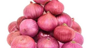 Buying Online Onions from Reputed Suppliers