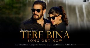 Tere Bina Lyrics – Salman Khan