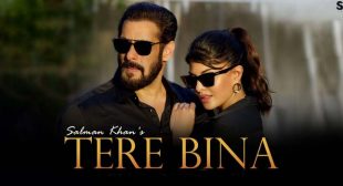 TERE BINA LYRICS – SALMAN KHAN – MpLyrics