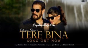 Salman Khan – Tere Bina Mp3 Song Download