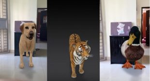 Bring 3D Animals to Your Home Using Google On Your Smartphone – Office Setup