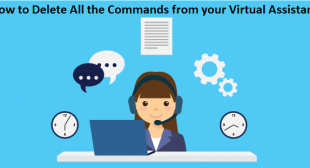 How to Delete All the Commands from your Virtual Assistant
