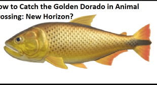 How to Catch the Golden Dorado in Animal Crossing: New Horizon?