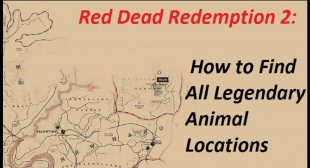 Red Dead Redemption 2: How to Find All Legendary Animal Locations