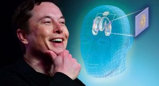 Elon Musk’s Neuralink Will Directly Provide Music to the Brain