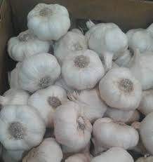 Buy online Garlic suppliers in Mexico based reputed store