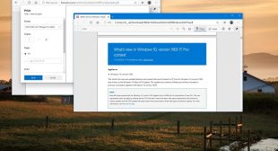 How to Use PDF Viewer in MS Edge Chromium – Broad Blogs Uk