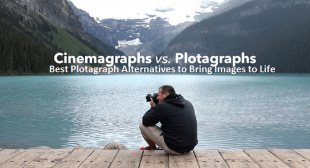 Best Plotagraph Alternatives to Bring Images to Life