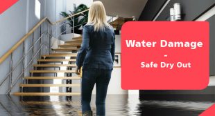 Everything to Know About Water Damage